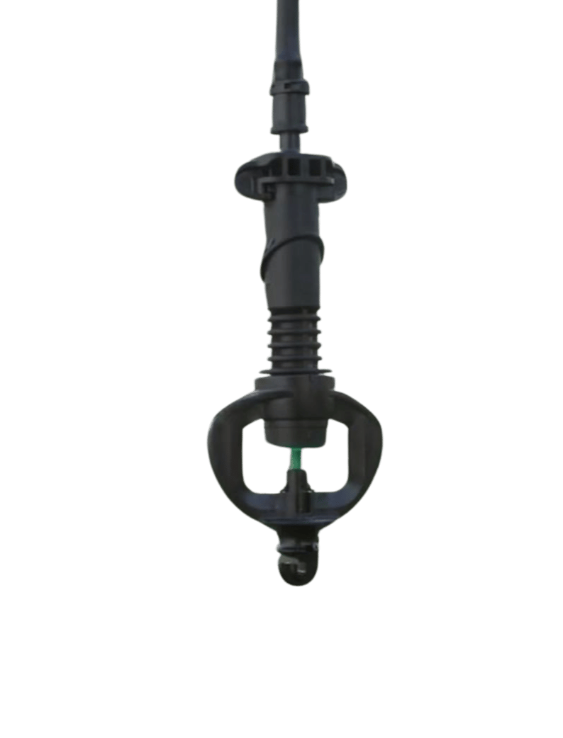 Macadamia Sprinkler